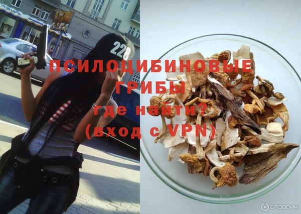 кокс Инсар