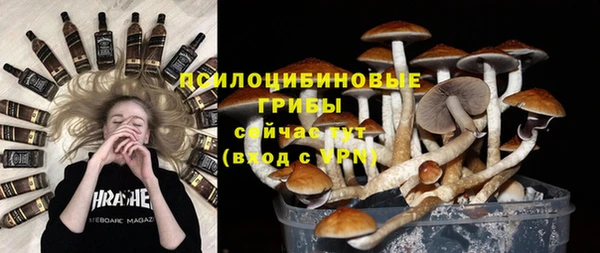 спиды Алзамай