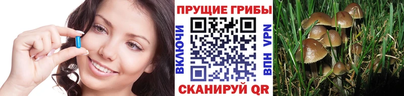 Псилоцибиновые грибы GOLDEN TEACHER Ярцево
